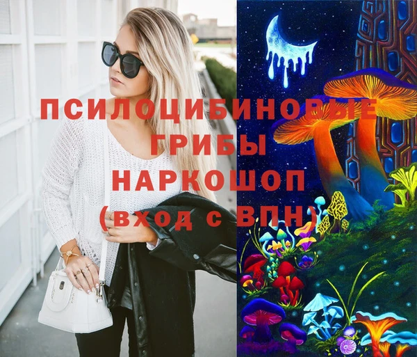 МДПВ Карпинск