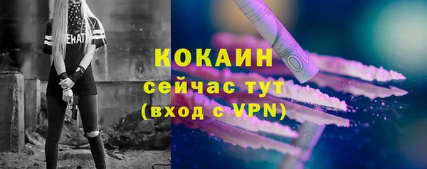 МДПВ Карпинск