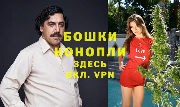 МДПВ Карпинск