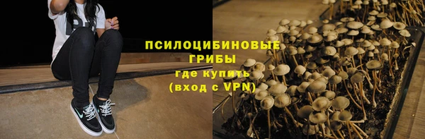 МДПВ Карпинск
